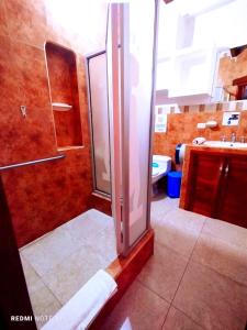 阿约拉港Hostal GalaHouse的带淋浴和盥洗盆的浴室