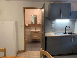 比桑Appartement 2/4 personnes的厨房配有水槽和台面