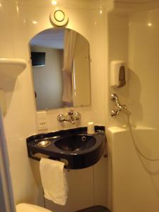 塞诺德阿讷西法斯特酒店的浴室设有黑色水槽和镜子