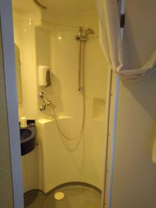 塞诺德阿讷西法斯特酒店的一间带卫生间和淋浴的小浴室