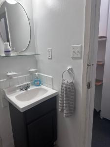 纽约Macaw Guest House的一间带水槽和镜子的浴室