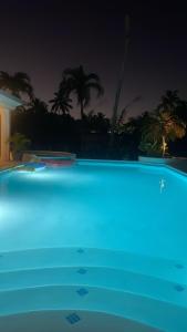 拉斯特拉纳斯Villa Del Mar的棕榈树的夜间大型游泳池
