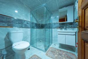 番红花城Gunes Konak Otel Safranbolu的带淋浴、卫生间和盥洗盆的浴室