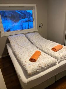 ÅlgårdSokndal - Cozy vacation home in peaceful surroundings的两张床位于窗户旁,配有毛巾