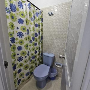 巴耶杜帕尔Hotel Casa Martina Valledupar的带淋浴的浴室,配有蓝色卫生间