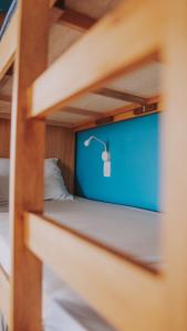 里约热内卢Longboard Paradise Surf Club的蓝色墙壁上一张双层床,上面有鸟