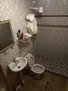 下博克特Joe's Layover Hostel Boquete的一间带卫生间和水槽的浴室