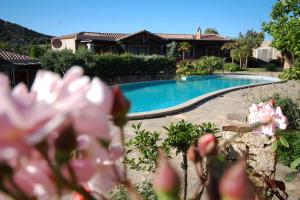 奇亚Delizioso villino Chia Sud Sardegna的一座鲜花盛开的房子前的游泳池