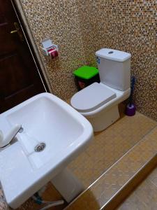 BusuaPalm Grove lodge的浴室配有白色水槽和卫生间。