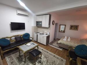 MitrovićiIn Apartments AirPort的带沙发的客厅和厨房
