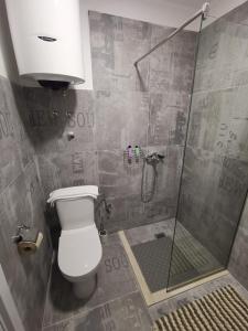 MitrovićiIn Apartments AirPort的带淋浴、卫生间和盥洗盆的浴室