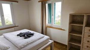 AltnauMBar Apartment的客房设有一张床和两个窗户。