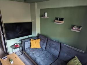 亚历山德鲁波利斯Tsitsipas Apartment的客厅配有蓝色的沙发和平面电视。