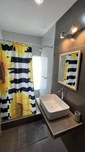 伊察El Huerto Hostel的一间带水槽和淋浴帘的浴室