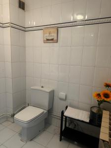 萨拉斯BlueMedina Salas的白色的浴室设有卫生间,架子上摆放着鲜花