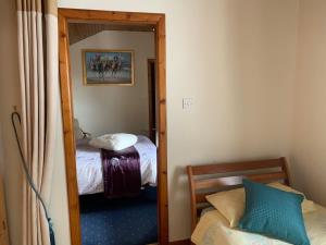 LisheenanoranBeech Lodge B&B的客房设有带一张床和镜子的卧室