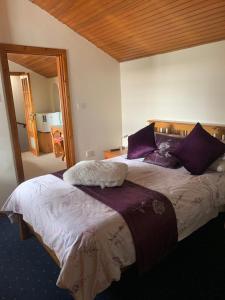 LisheenanoranBeech Lodge B&B的一间卧室配有两张带紫色枕头的床