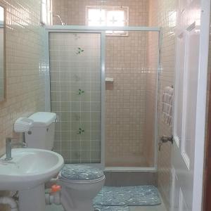乔治敦S&S Guyana Real Estate Apartment的带淋浴、卫生间和盥洗盆的浴室