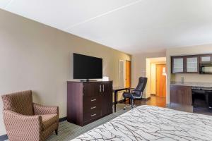 诺克斯维尔Best Western Plus Knoxville Cedar Bluff的配有一张床和一台平面电视的酒店客房