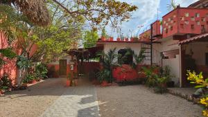 巴卡拉尔Casa Coral的一座有树木和建筑的庭院