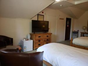阿宾登AbingPlough House的一间卧室配有一张床和一台平面电视