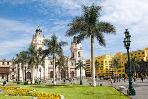 利马In the heart of Lima的一座种植了棕榈树的大建筑,位于公园内