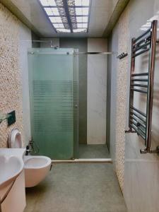 巴库Luxury villa 8 bedrooms的带淋浴、卫生间和盥洗盆的浴室