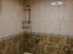 巴库Luxury villa 8 bedrooms的浴室内带软管的淋浴