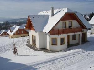 伏尔塔瓦河畔利普诺Ferienhaus für 10 Personen in Lipno nad Vltavou, Böhen Moldau的一座小房子,地面上积雪