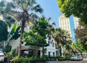 河内蒙德酒店的一条白色的街道上种有棕榈树的建筑