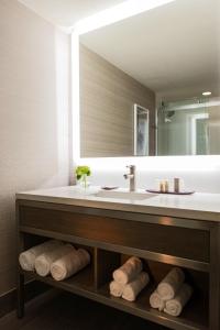 俄克拉何马城俄克拉何马城文艺复兴沃特福德酒店 - 万丽酒店&度假村的一间带水槽和大镜子的浴室