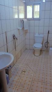 杜阿拉AU COEUR DE BONAMOUSSADI-WIFI-PARKING-GARDIENS-24H的一间带卫生间和水槽的浴室