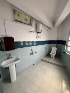 大吉岭The Valaya Hotel的一间带水槽和卫生间的浴室