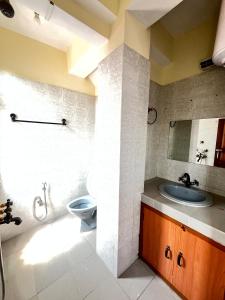 甘托克Yesheyzz的一间带水槽和卫生间的浴室