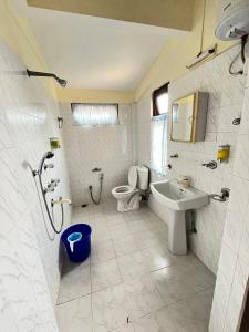 甘托克Yesheyzz的一间带卫生间和水槽的浴室