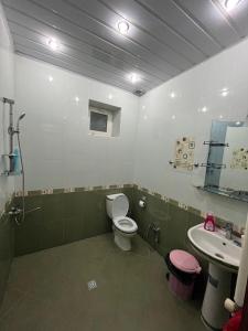 CoratEden Guest House的一间带卫生间和水槽的浴室