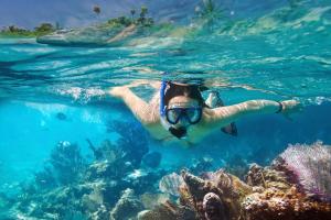 维拉港伊利利奇岛Spa度假酒店的妇女在珊瑚礁附近的水中游泳