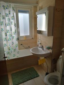 贝林佐拉Castle-View Bellinzona的一间带水槽和卫生间的浴室以及窗户。