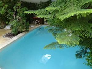 拉聂Ecolodge Au fil de l'eau, avec piscine intérieure et parc arboré的一座蓝色的大型游泳池,四周环绕着绿色植物