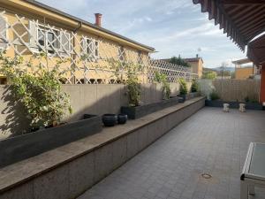圣焦万尼瓦尔达尔诺La Terrazza的墙上挂着盆栽植物的庭院