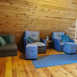 华沙Dream Forest Cabin的客厅配有两把椅子和一张沙发