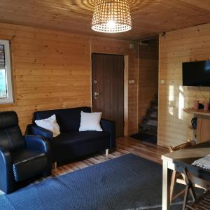 华沙Dream Forest Cabin的带沙发和电视的客厅