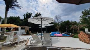 BrestovikSpa center Apartment Belgrad的一个带椅子和遮阳伞的庭院和一个游泳池
