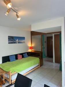 韦松纳Ramuge COSY & MOUNTAINS apartments的一间位于客房内的带绿床的卧室