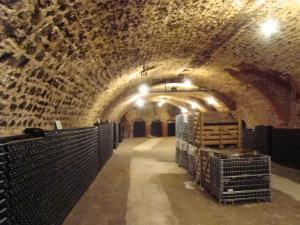 韦尔蒂L'Atelier De Dégustation的酒窖的隧道,里面装着一串酒桶