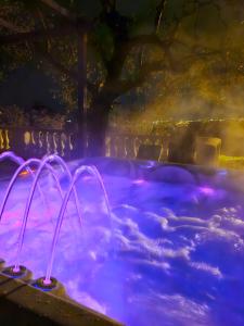 尼斯Villa vue mer, terrasse et spa的后院的紫色热水浴池