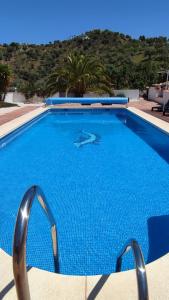 AlmogíaB&B Casa El Corasueño的蓝色海水大型蓝色游泳池