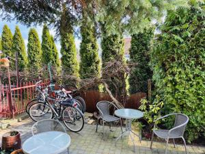 斯图托沃Czapla siwa的庭院设有2张桌子和2辆自行车,停放在围栏旁