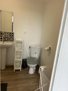 莫伯日superbe studio meublé avec parking的一间带卫生间和水槽的小浴室