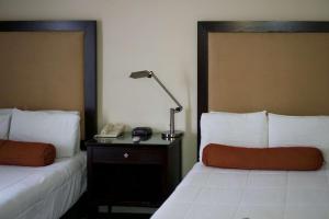 奥克兰华盛顿旅馆的配有2张床位的酒店客房,配有灯和电话